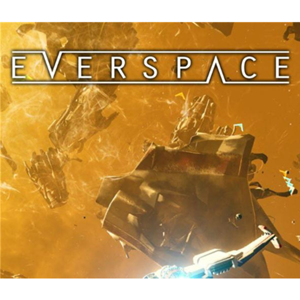 《EVERSPACE 永恒空间》PC数字版