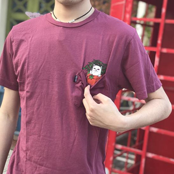 Ripndip CAT NIP 贱猫新款盆栽T恤