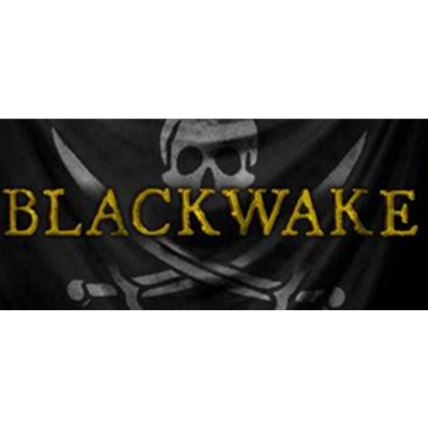 《Blackwake 黑色艉流》PC数字版