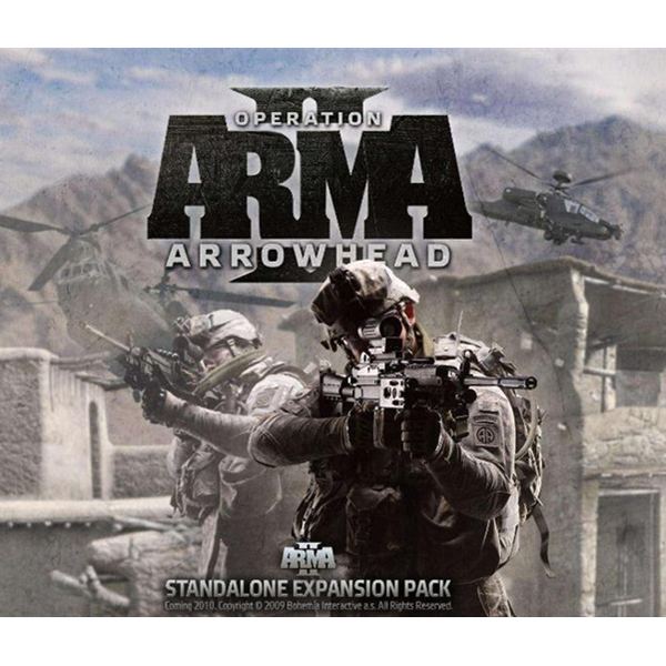 《Arma 2 武装突袭2》PC数字版