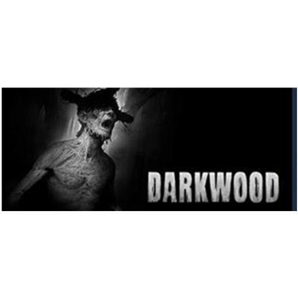 《Darkwood 阴暗森林》PC数字版