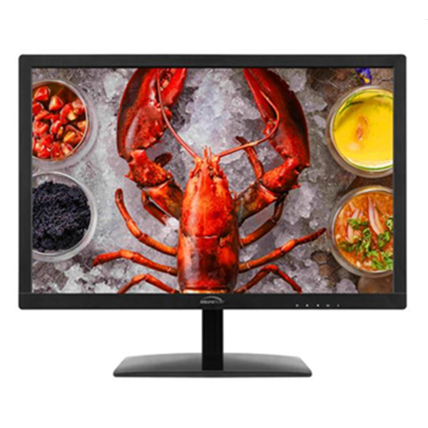 微软之星 E2209 21.5英寸 ADS显示器