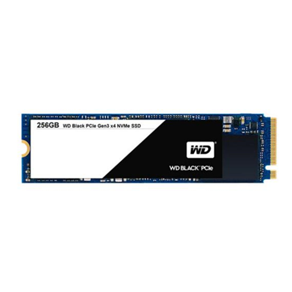 WD 西部数据 Black系列 M.2 固态硬盘 240G