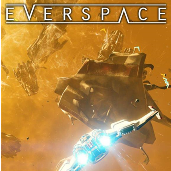 《EVERSPACE 永恒空间》PC数字版