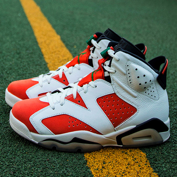 Air Jordan 6