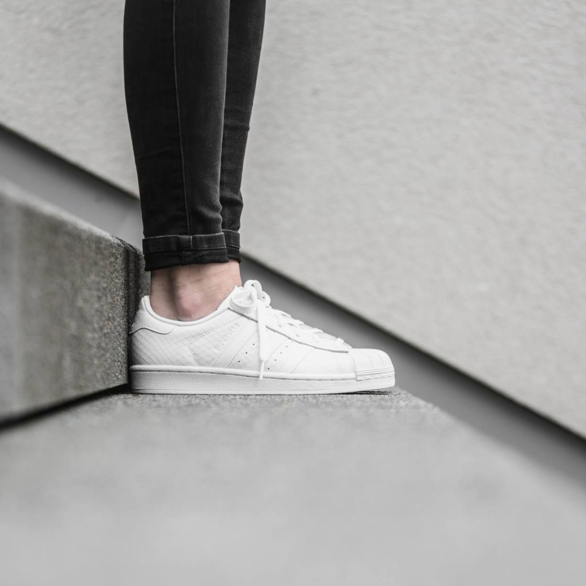 adidas Superstar 纯白格纹