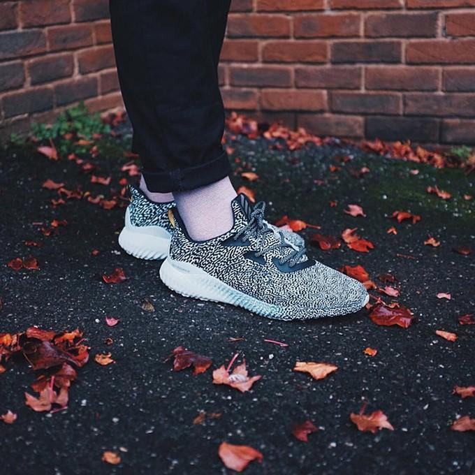 adidas Alpha Bounce