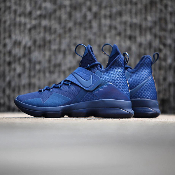 Nike Lebron 14