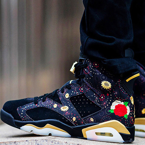 Air Jordan 6