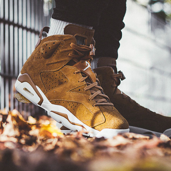 Air Jordan 6