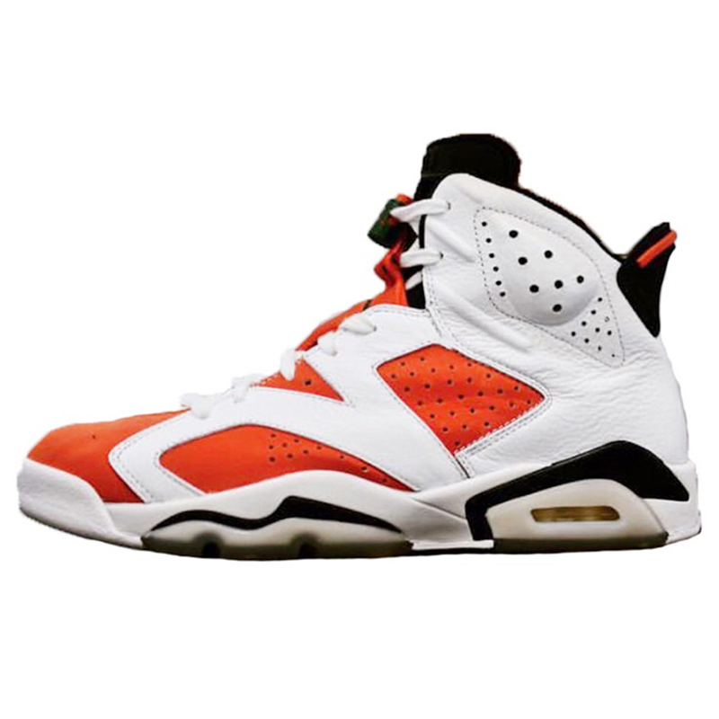 Air Jordan 6