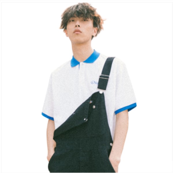 Dickies POLO衫男 DK006480