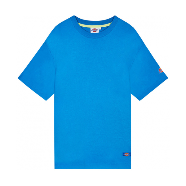 Dickies 袖部徽章短Tee DK006183