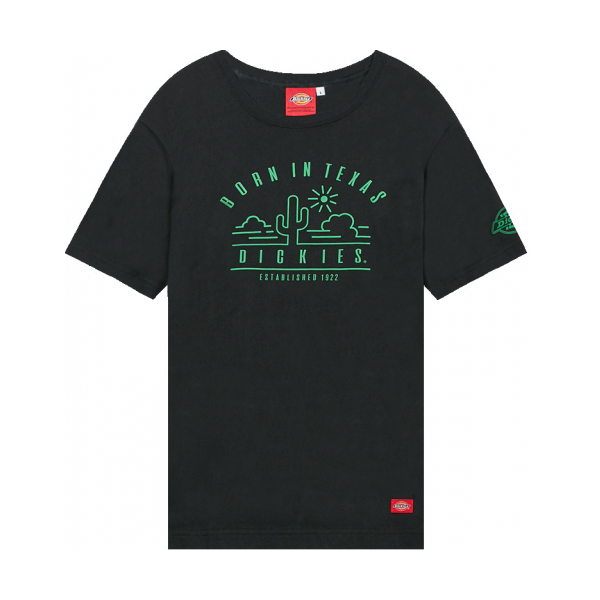 Dickies 胸口字母印花T恤 DK006492
