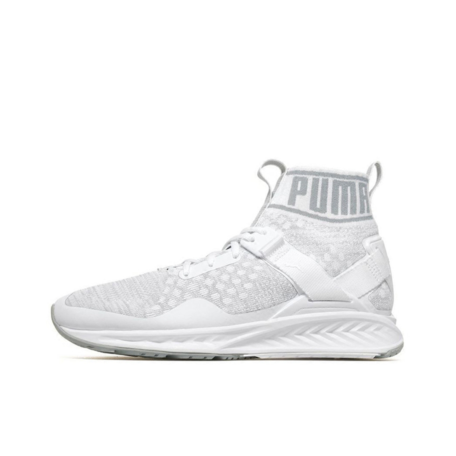 Puma Ignite evoKNIT WhiteSmoke 灰白