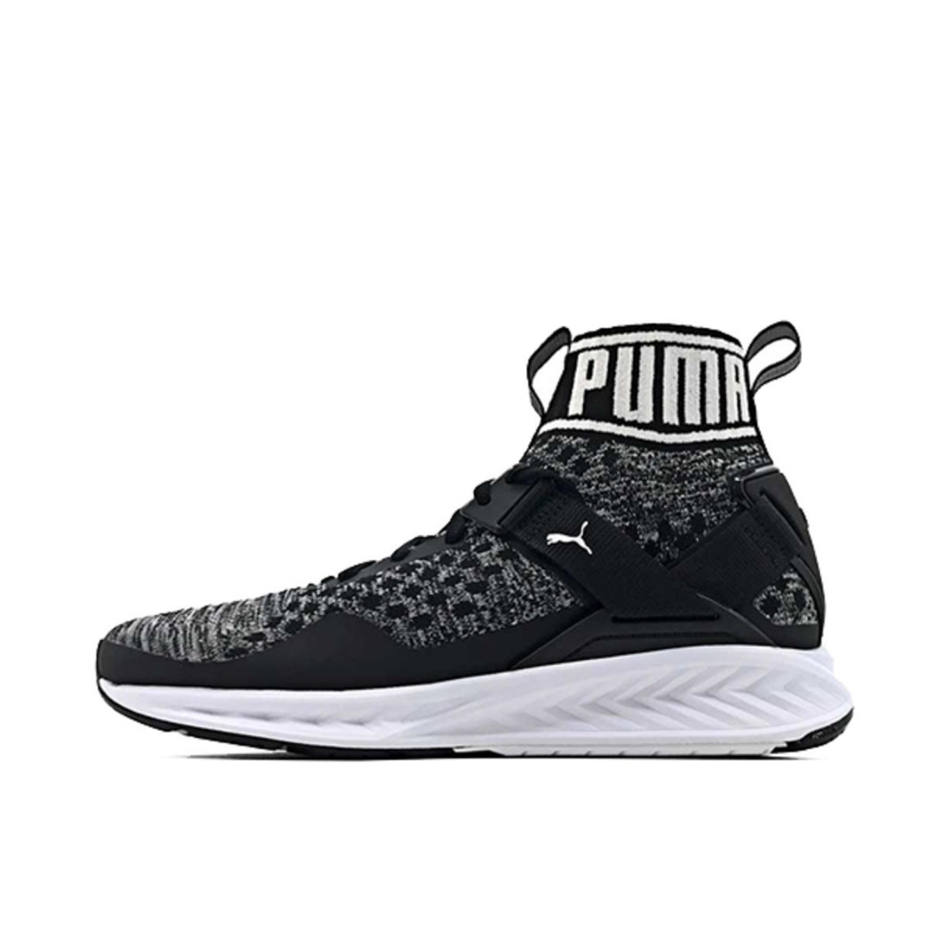 Puma Ignite evoKNIT Black/White 黑白