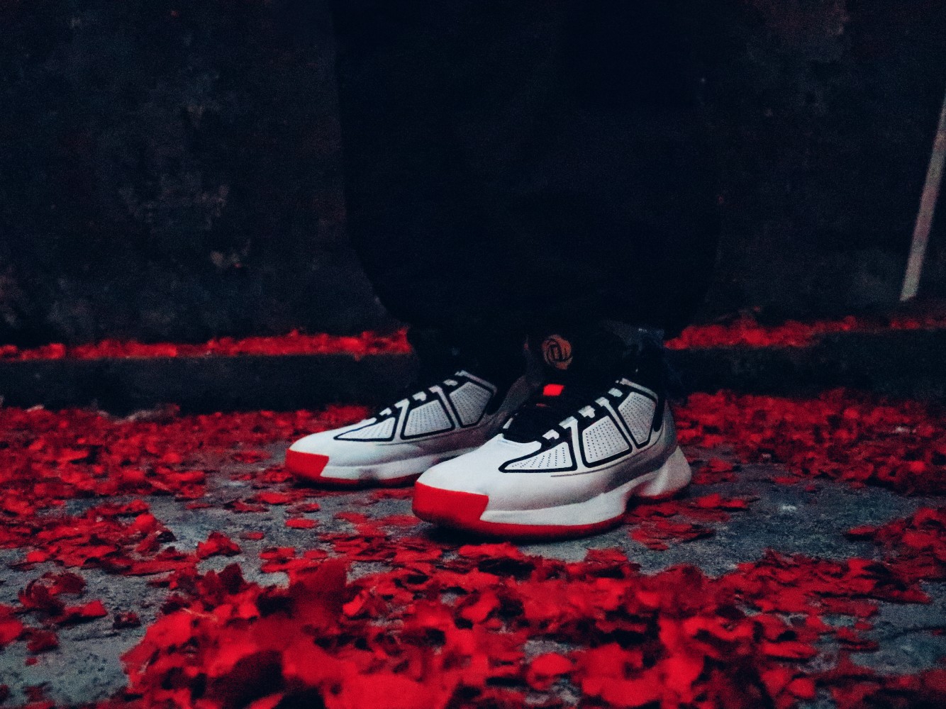 【最爱玫瑰10】玫瑰十年，不忘初心