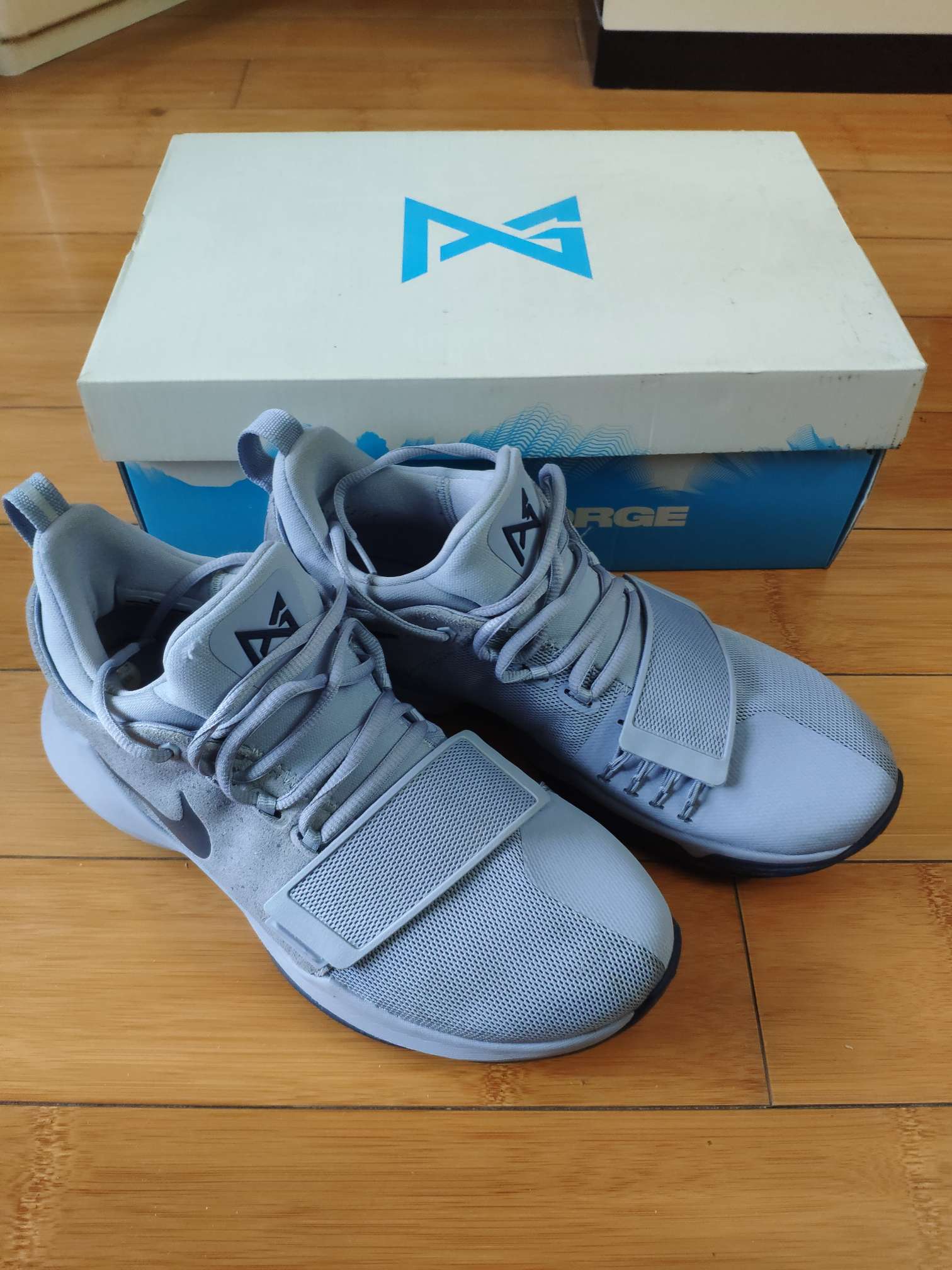 PG1