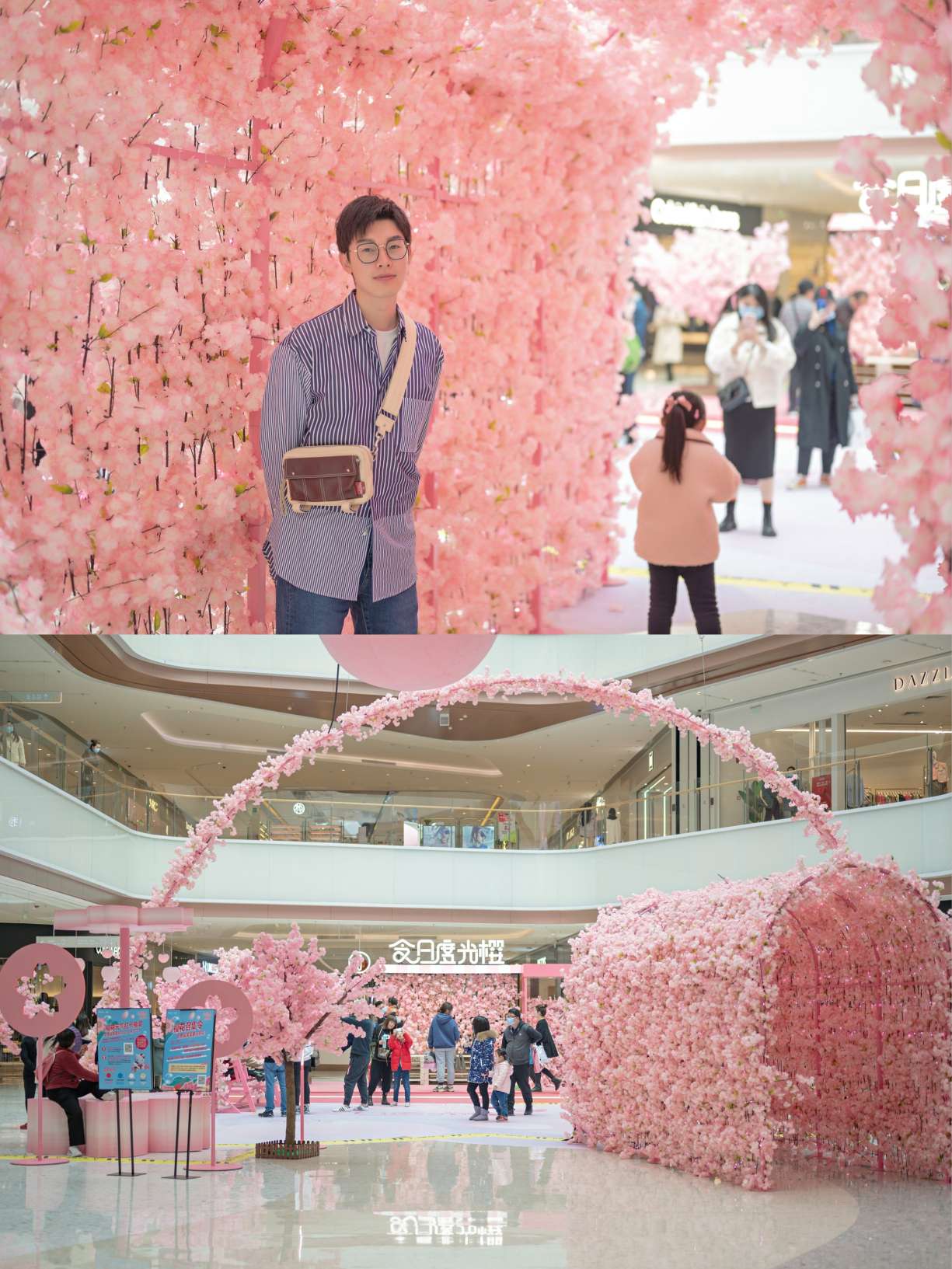 日常分享|邂逅浪漫樱花展