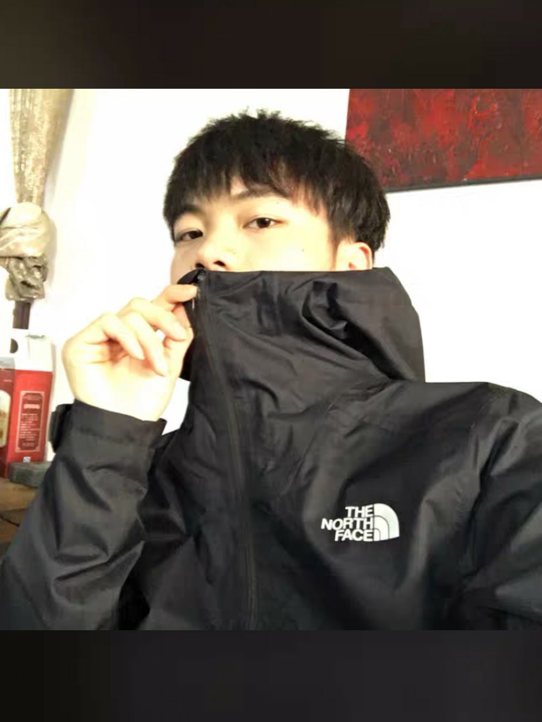 The North Face 夹克