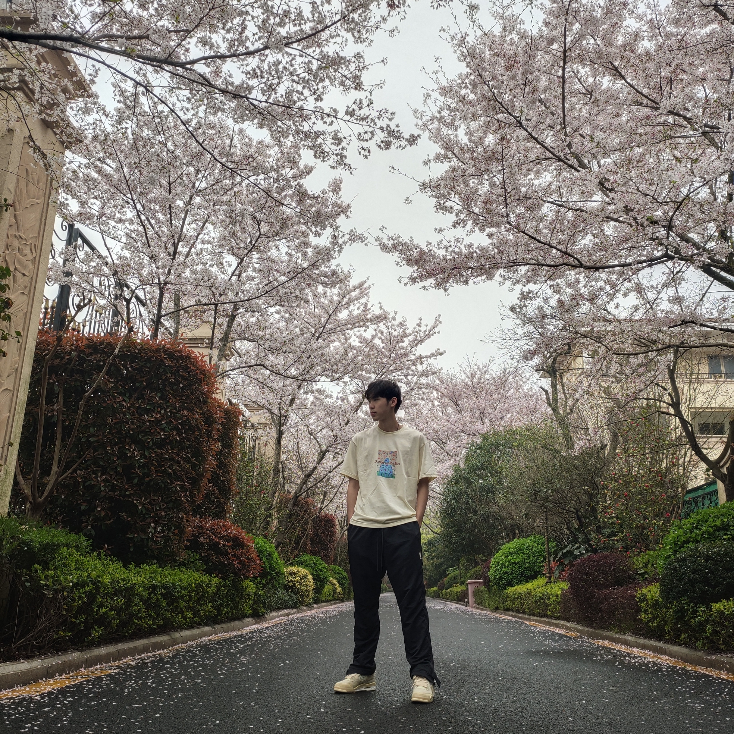 他们说我是个花花公子