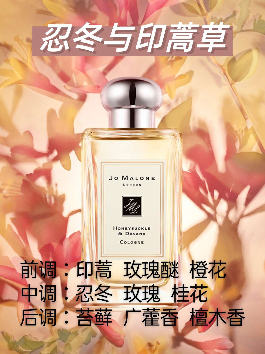 祖玛珑探店｜忍冬与印蒿草