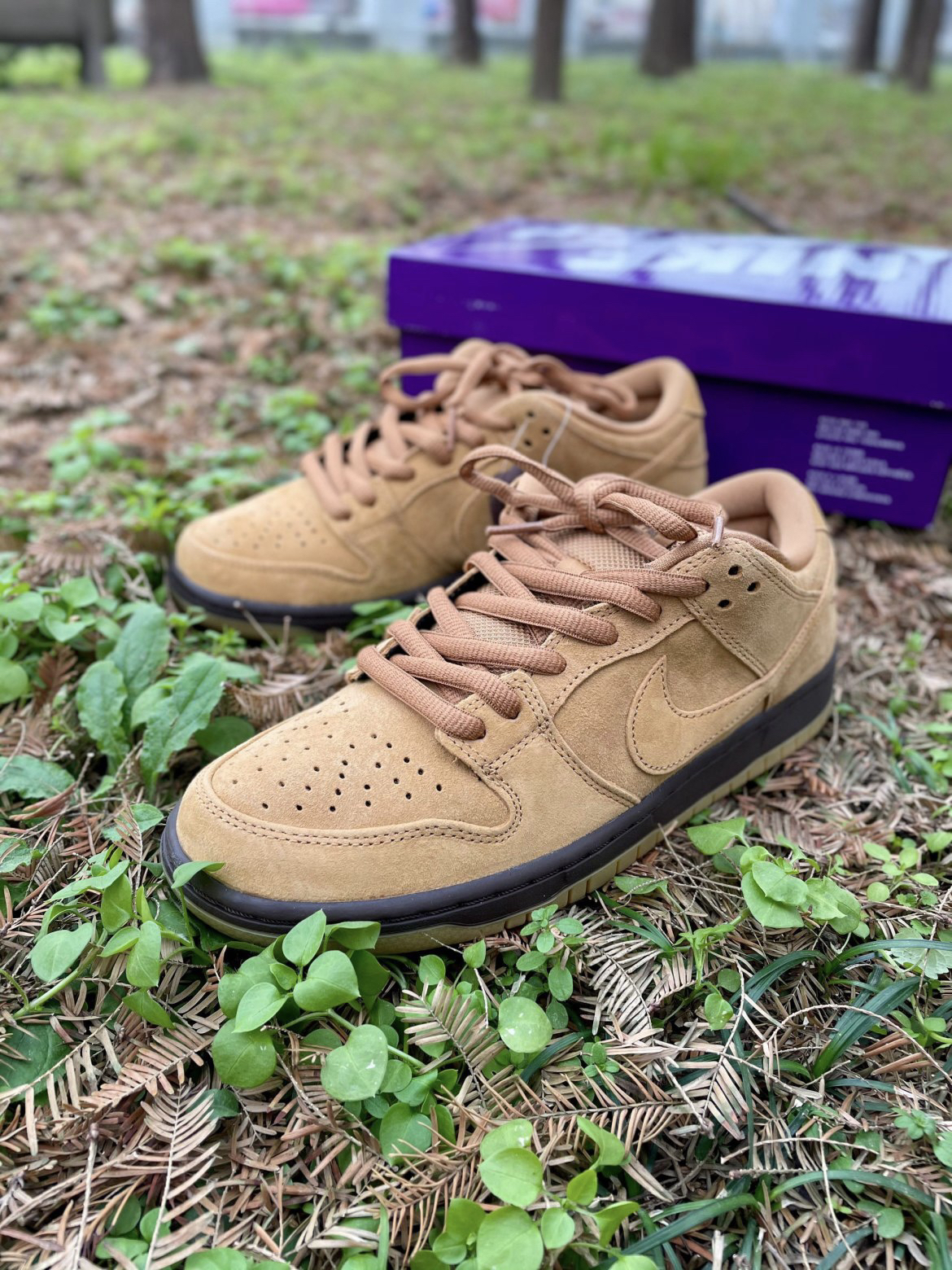 上脚利器DUNK SB 小麦摩卡