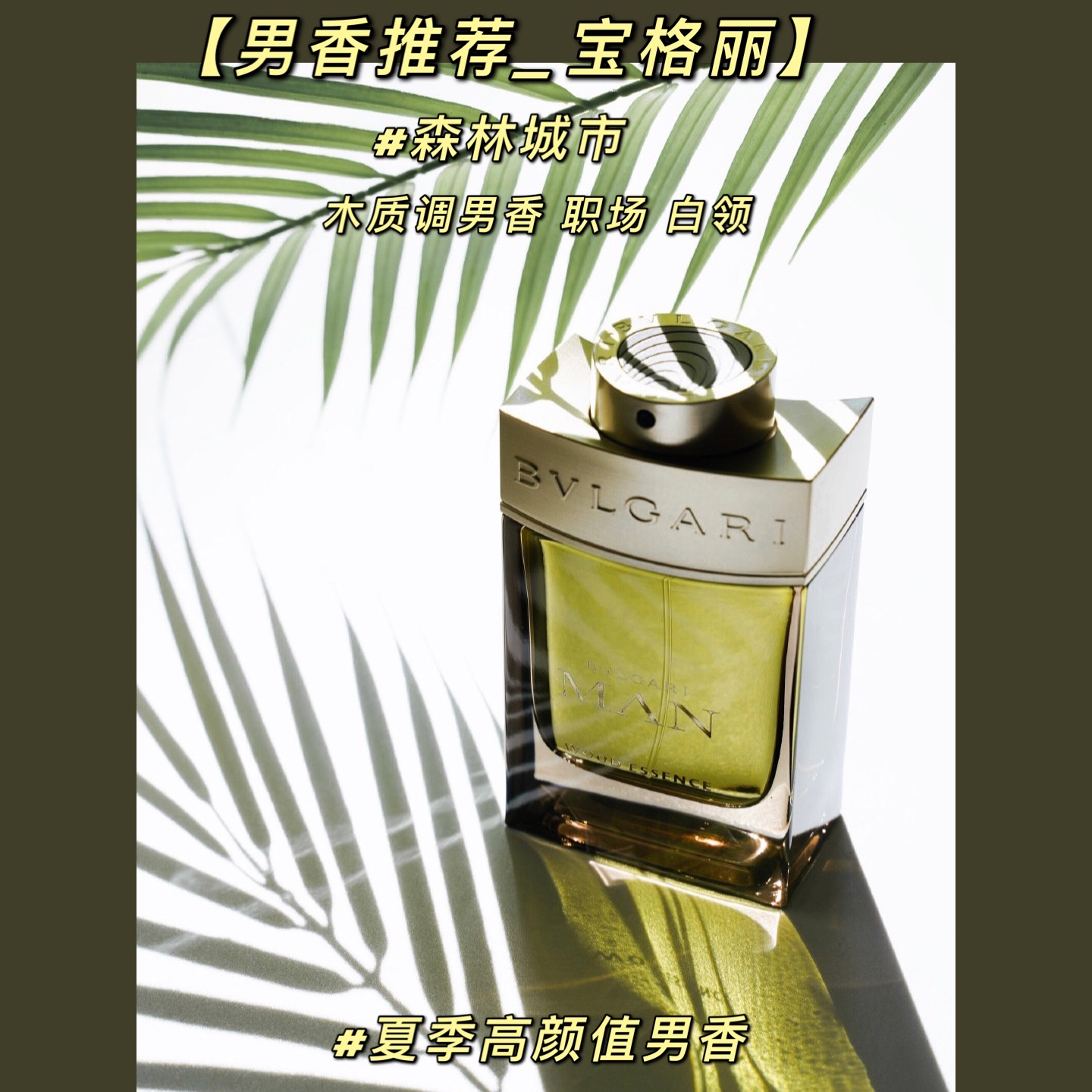 男香推荐 | Bvlgari夏季绿之城市森林