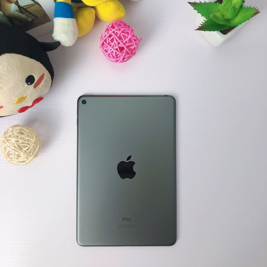 iPad mini5 入手体验