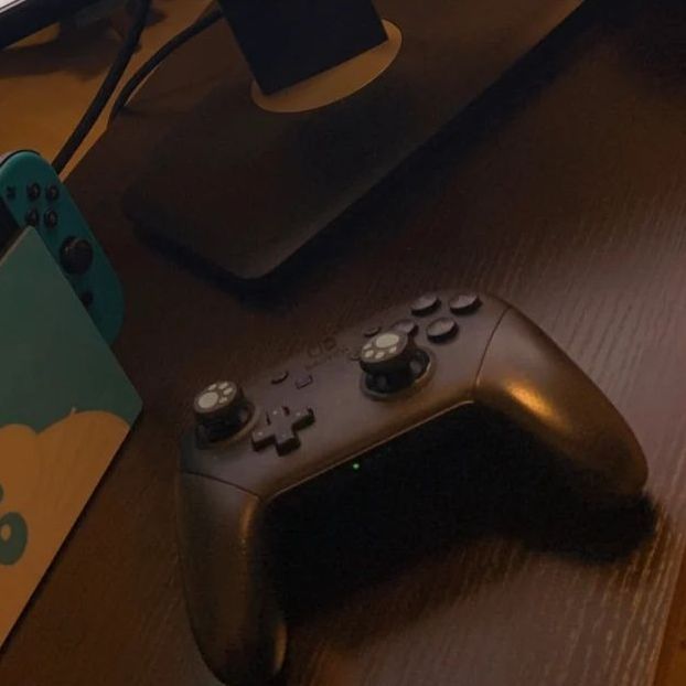  Switch的灵魂伴侣——Switch Pro控制器