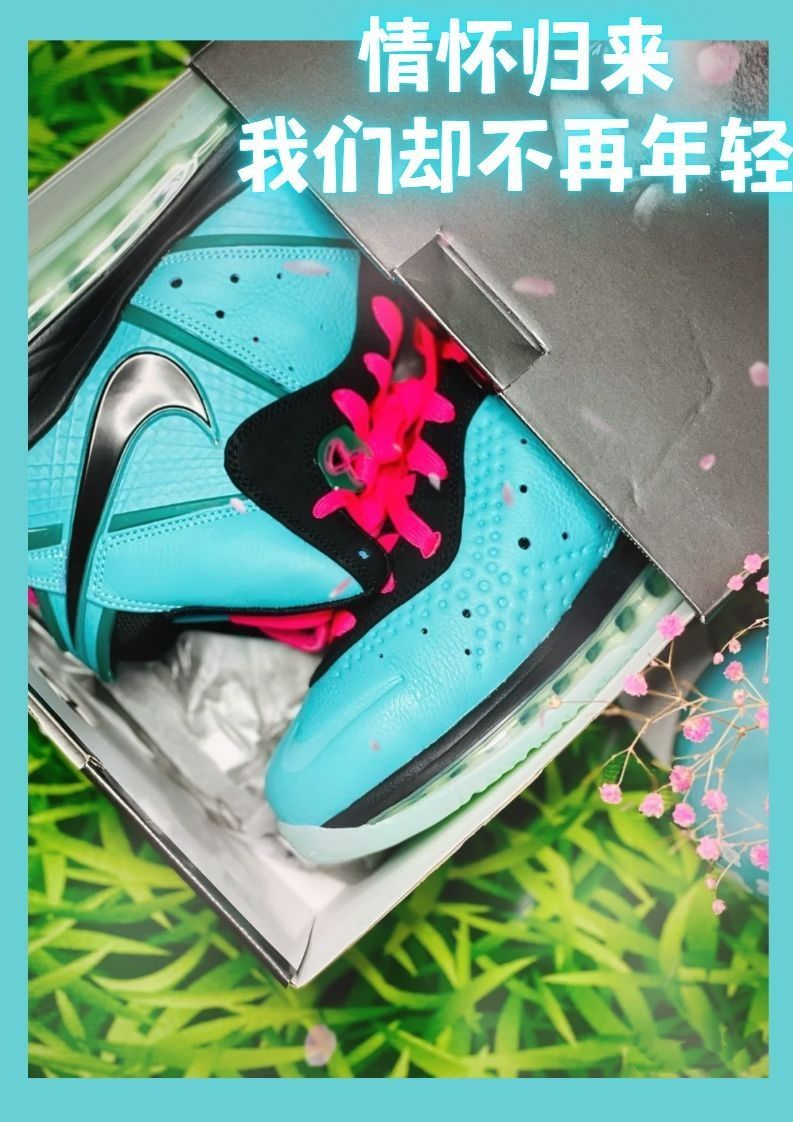 👑
 🦁LBJ8南海岸🌊