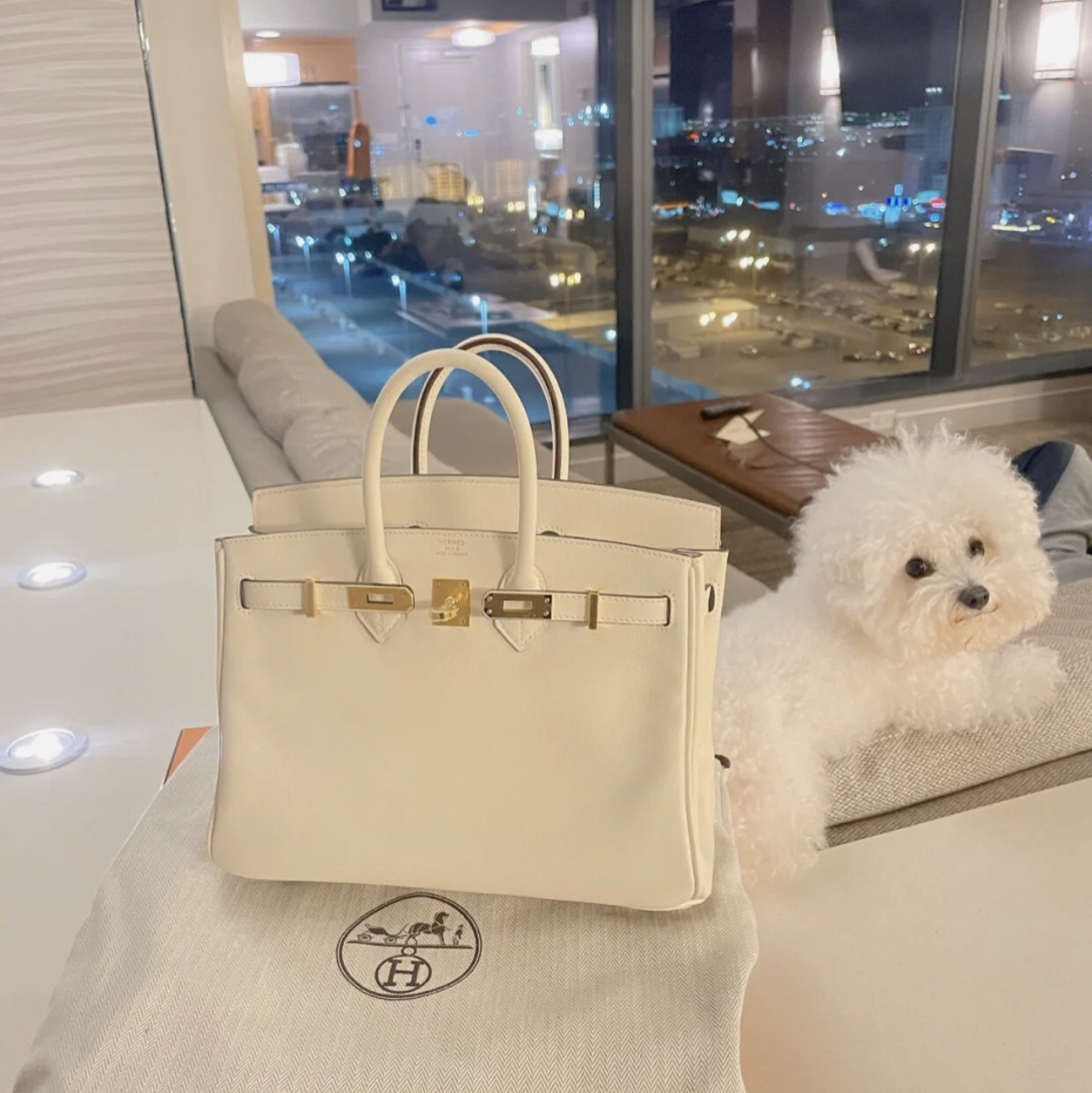 Hermes/爱马仕 Birkin25 铂金包手提包女包 分享
