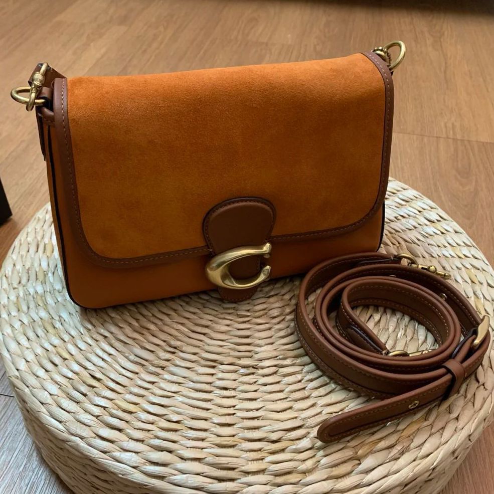 秋冬高级配色Coach Tabby手提包