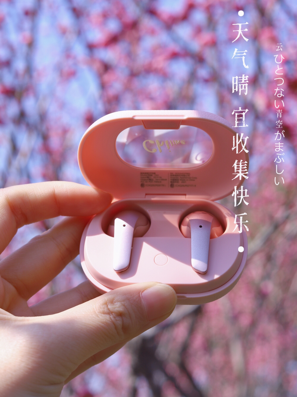 来呀！一起用音乐进行沉浸式春粉体验🌸