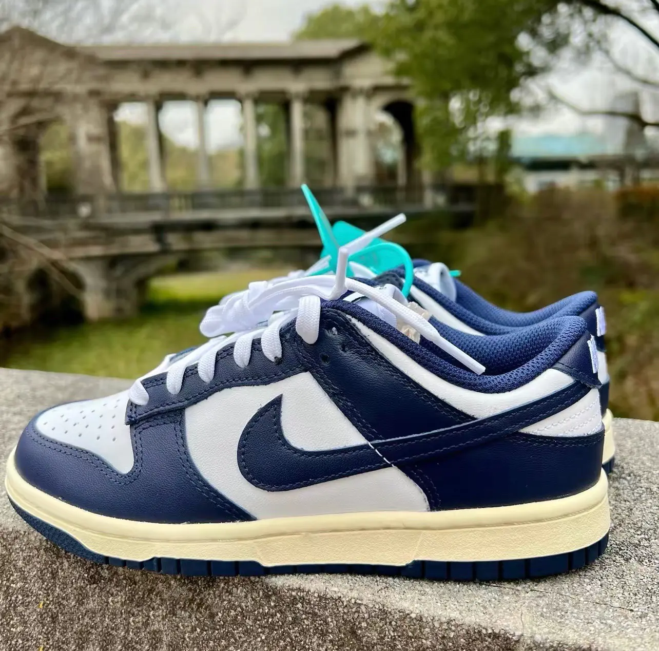 Dunk🔵