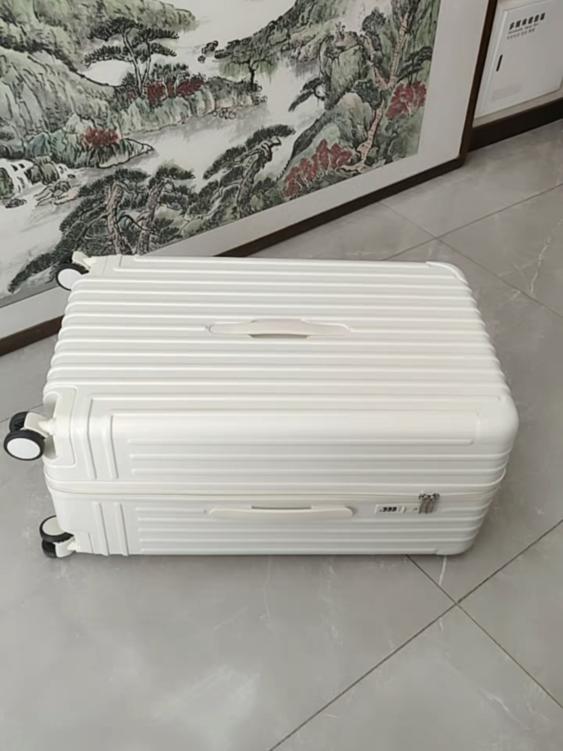 大嘴猴 时尚简约旅行箱推荐