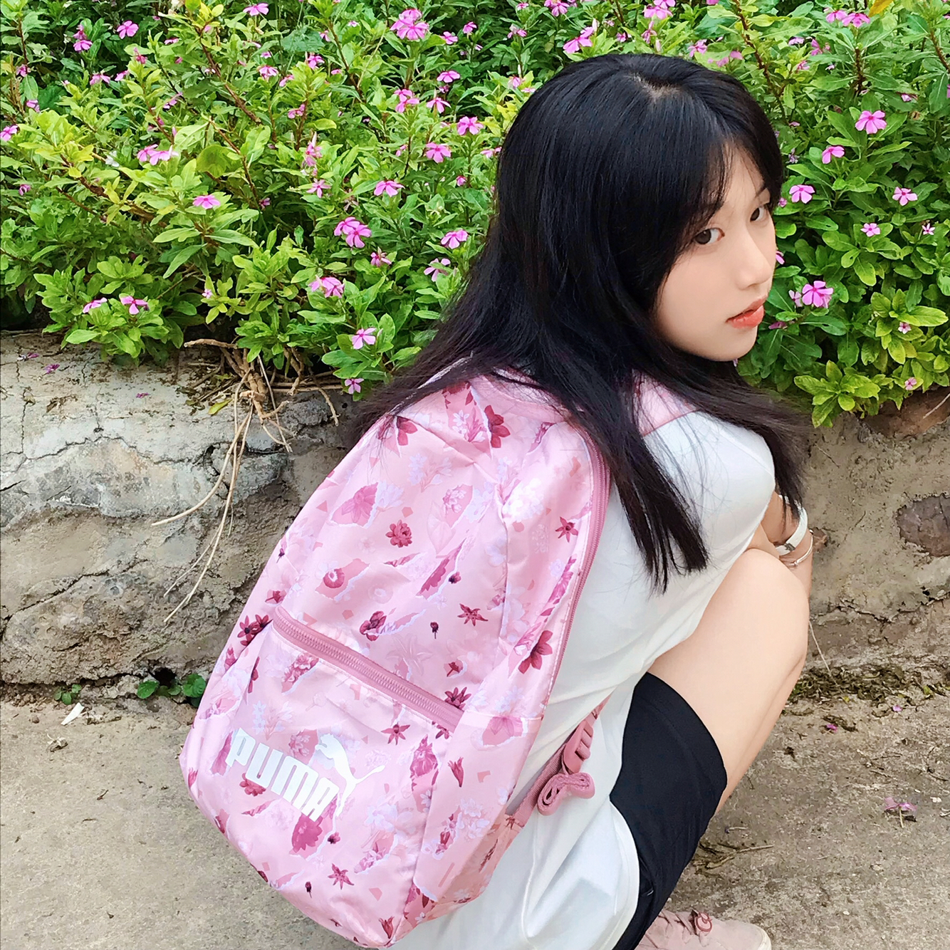 puma花卉