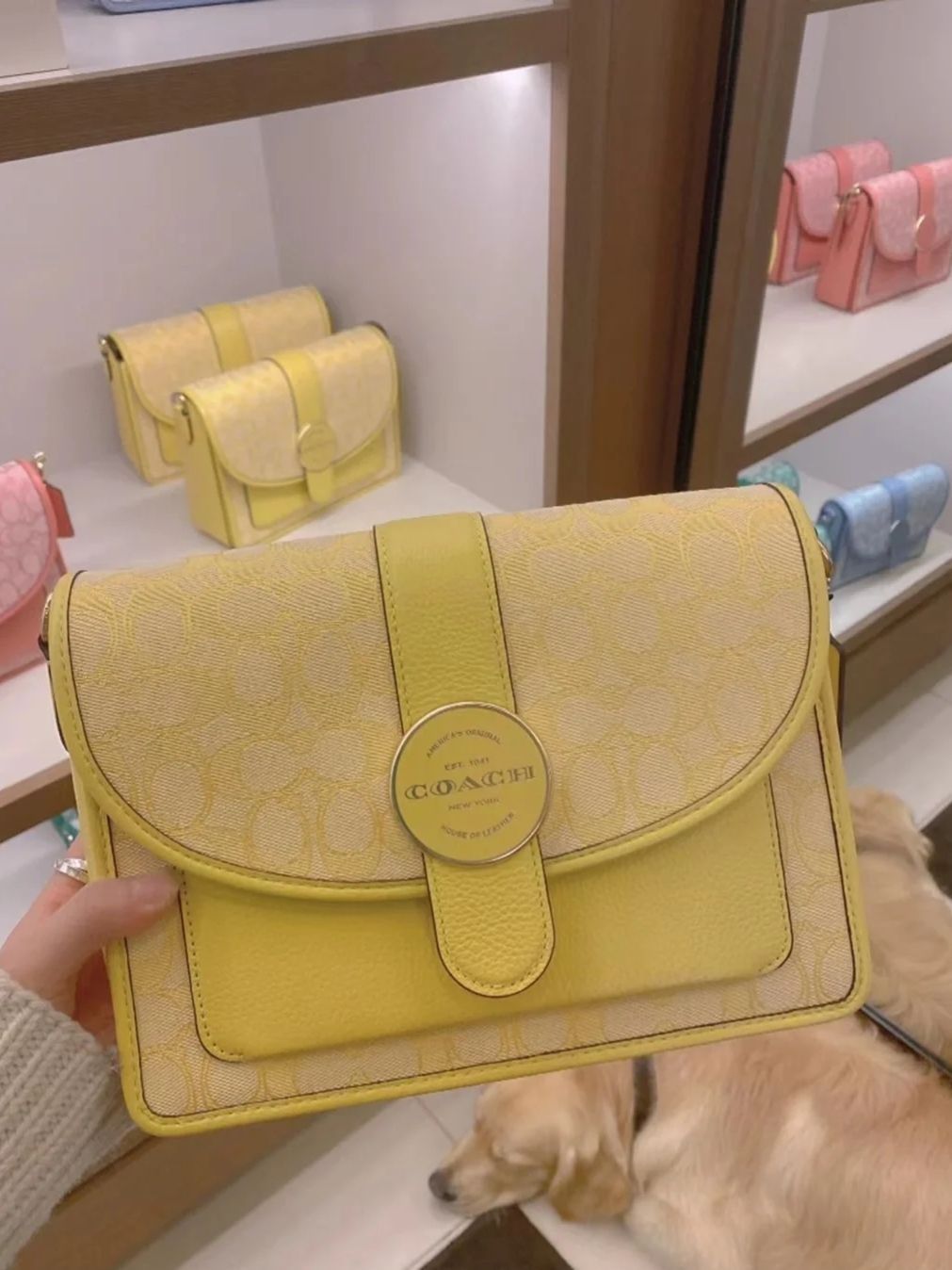 Coach Lonnie 25 中号 香布蕾老花单肩包✅