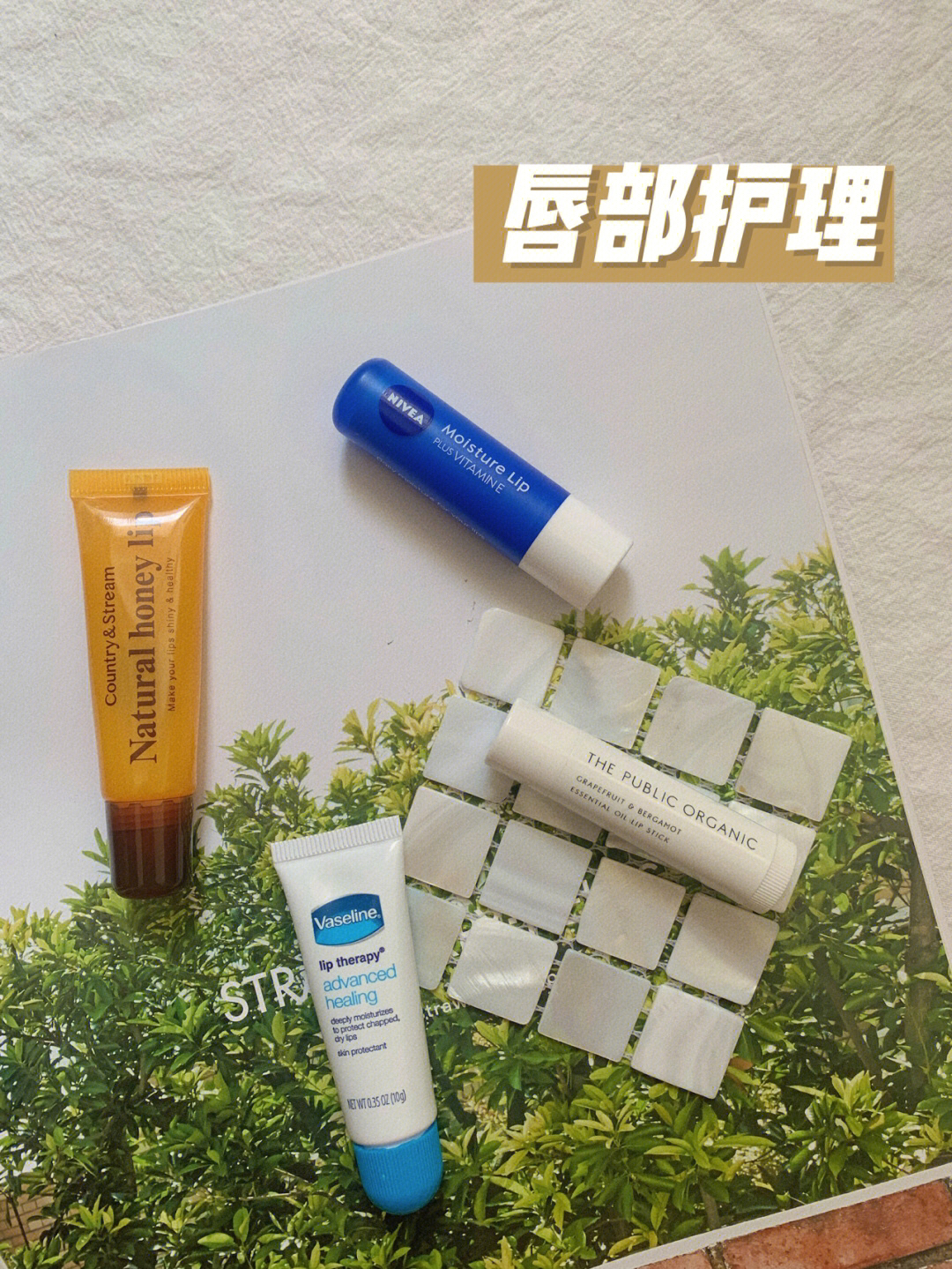 plog.在日留学生日常 唇部护理产品分享👄