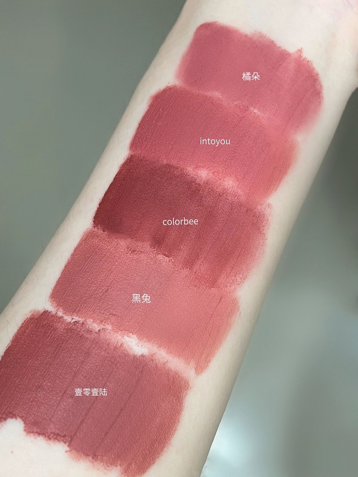 平价涂不腻❗低饱和灰粉烟熏玫瑰🥀唇泥合集~