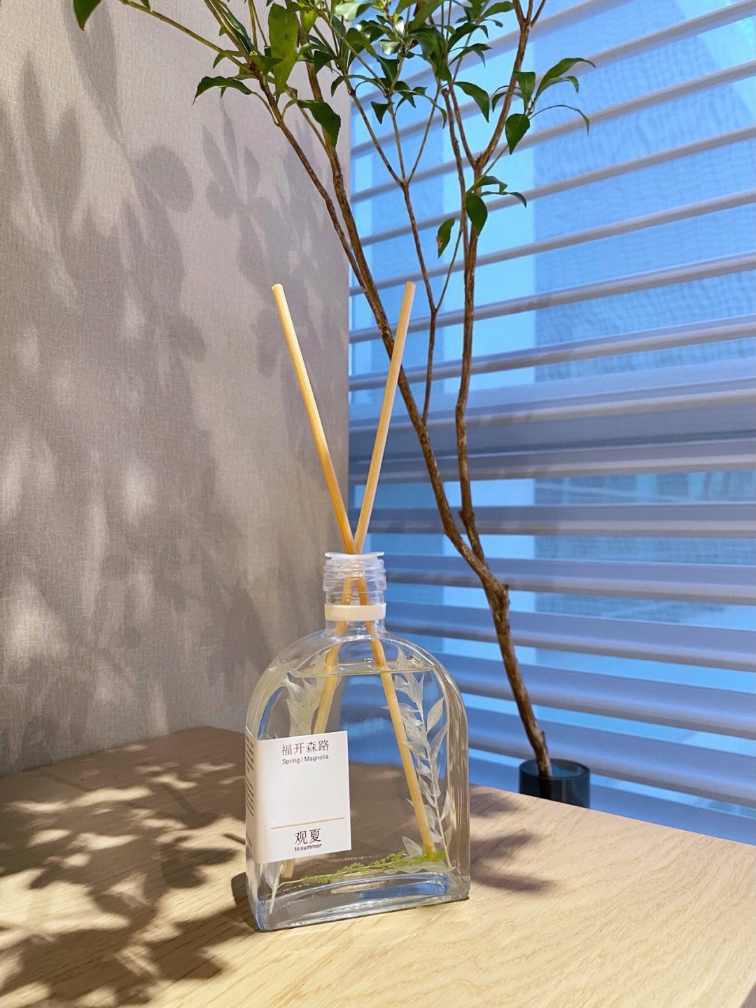 高颜值香薰 观夏的“福开森路”绝绝子!
