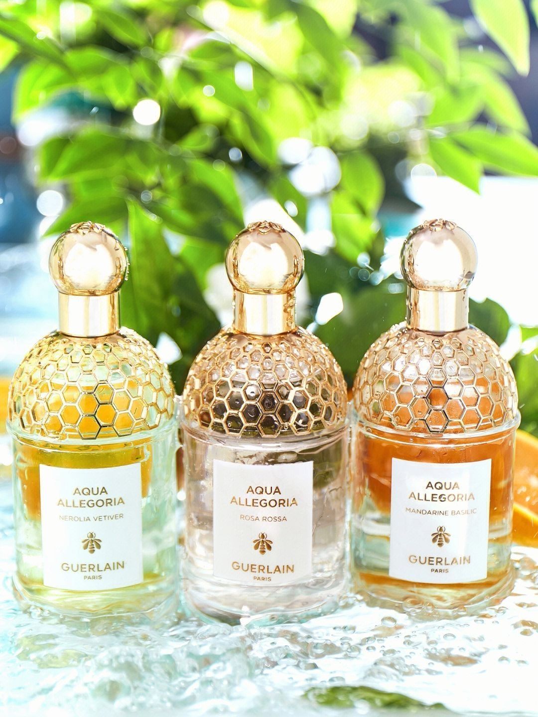娇兰花草水语～