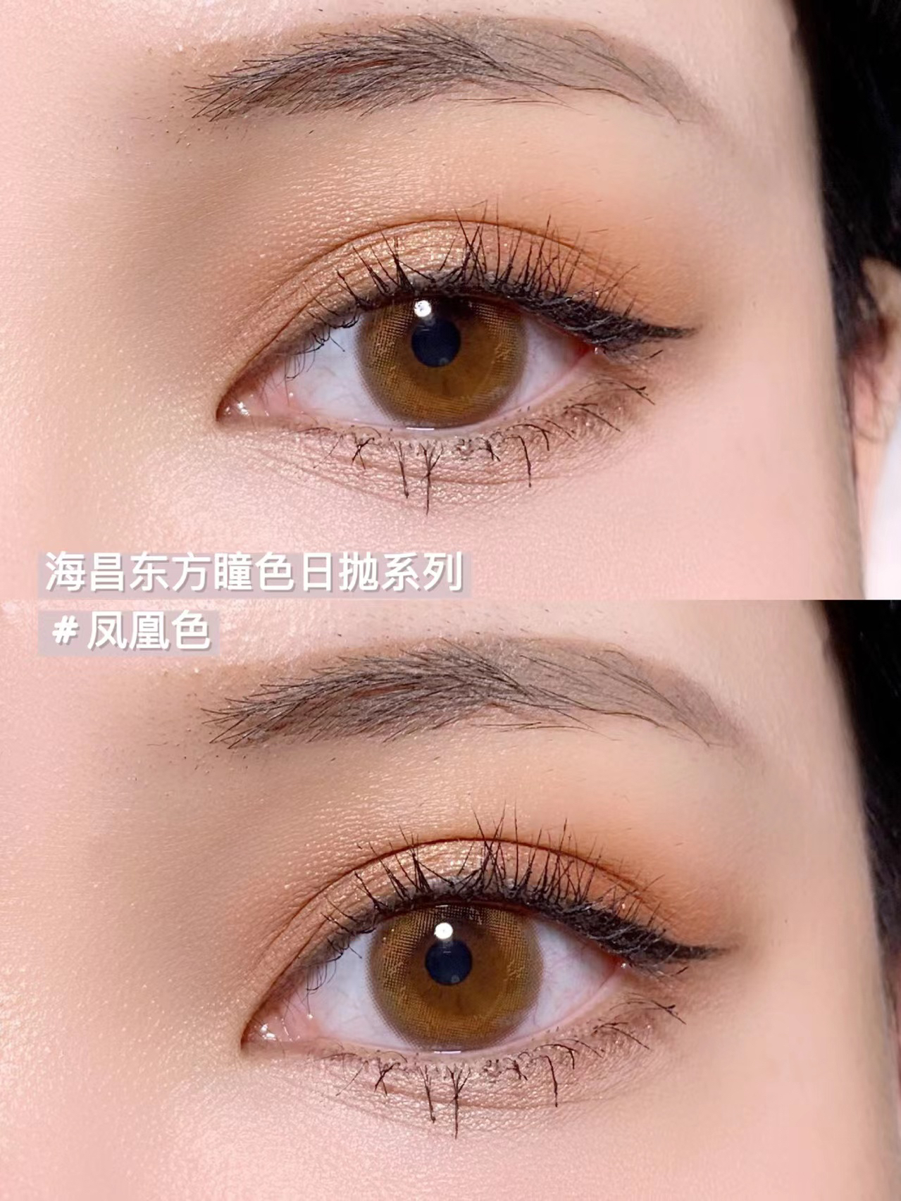 神仙眼珠珠👀海昌这是开挂了吧👍