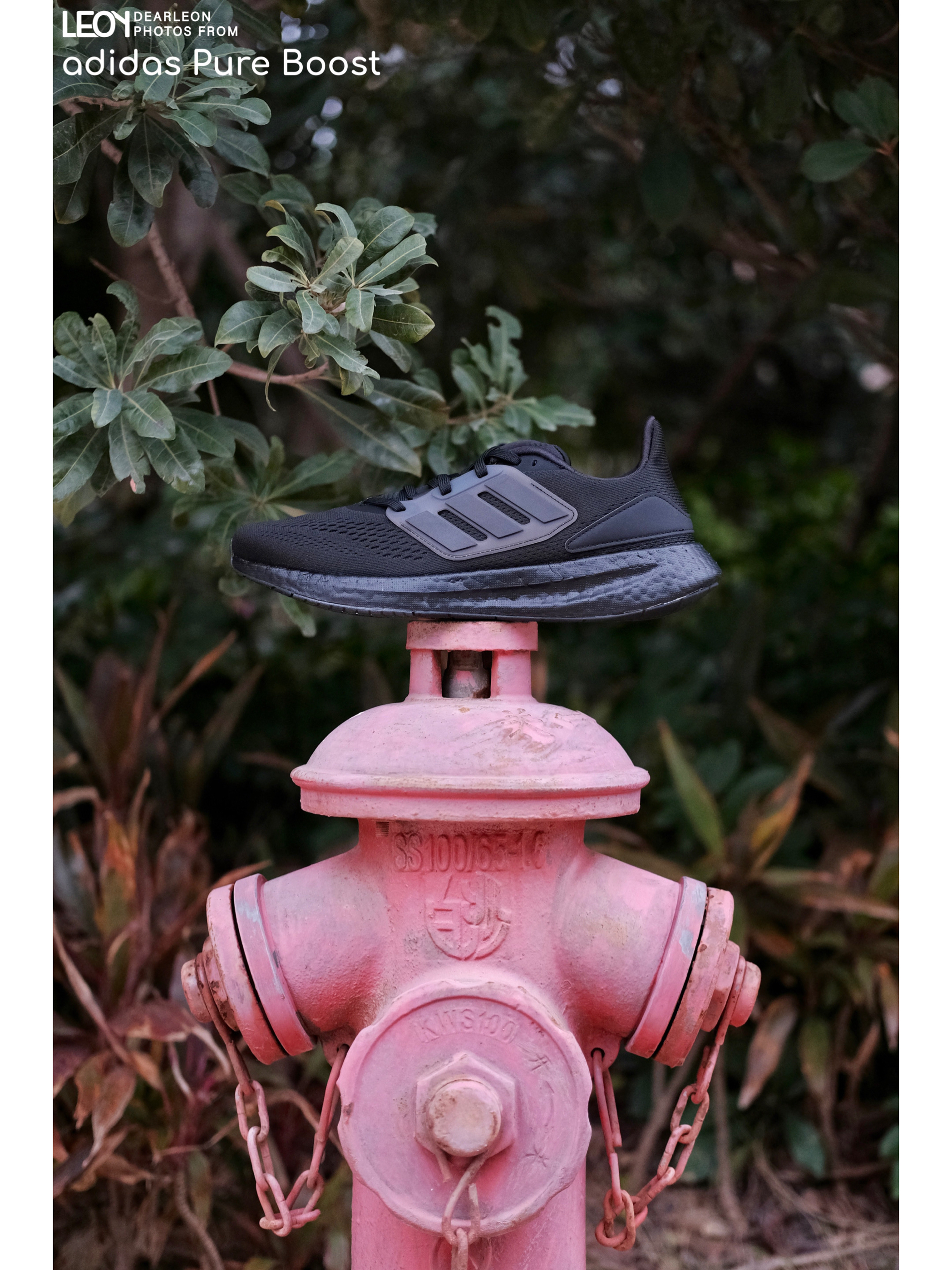 跑鞋星推荐 | 这双好鞋既适合日常穿也适合跑步🏃🏻