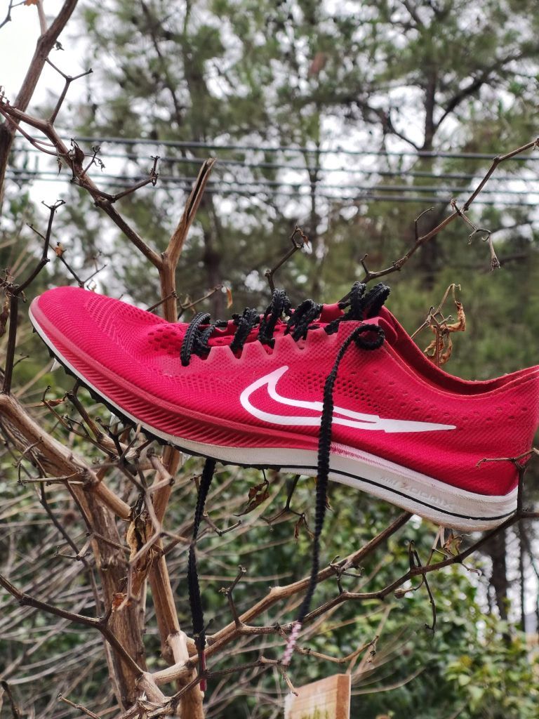 Nike zoomx dragonfly