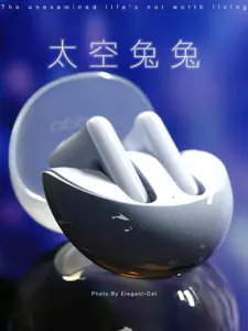 我也不想买啊!可这个兔兔耳机真的太可爱啦!