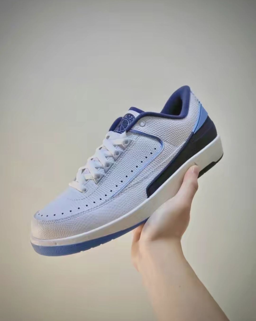 AIR JORDAN 2 LOW