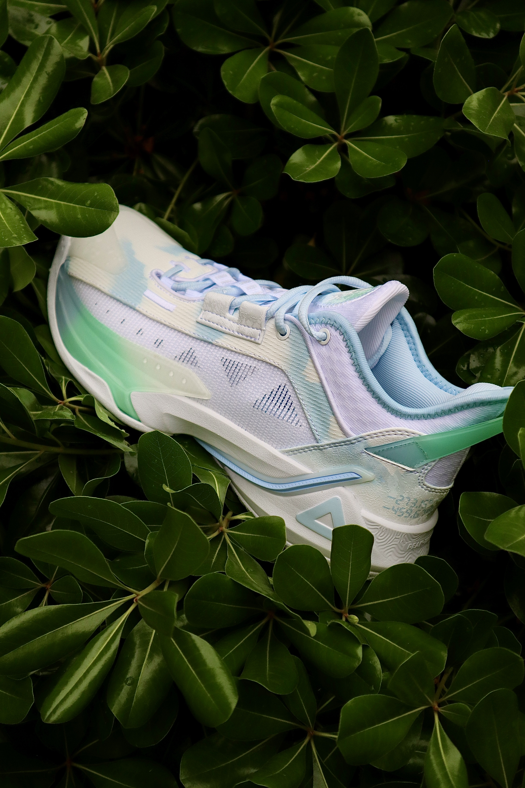 听说大家很缺夏季球鞋👟