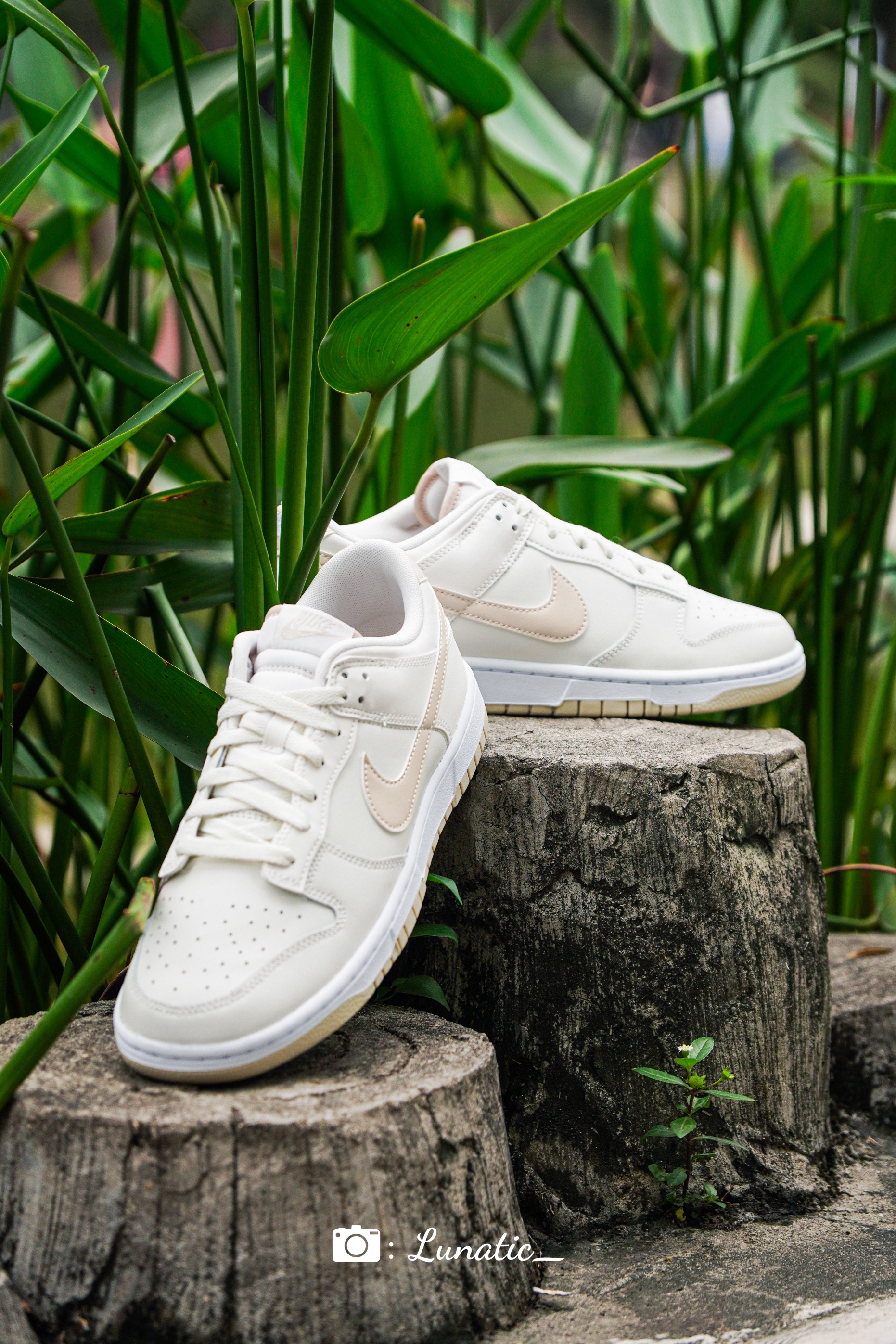 Nike Dunk Low “Bone”