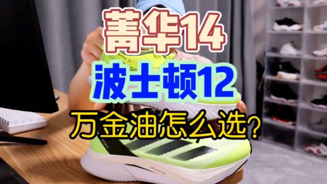 波士顿12和菁华14怎么选？
